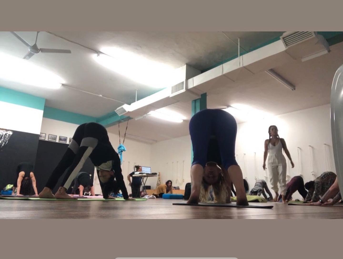 Vista desde el suelo de un salón de yoga con varios alumnos en postura de perro boca abajo y una instructora de blanco caminando entre ellos.